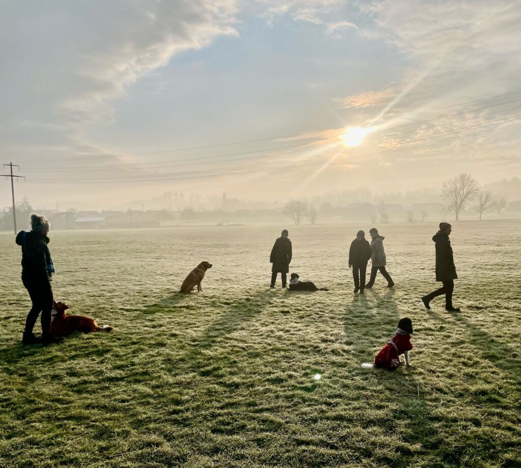 Freizeittraining