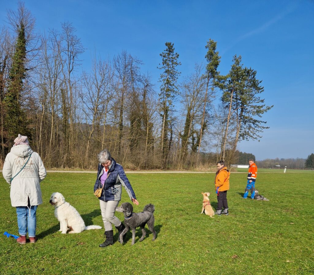 Freizeittraining1