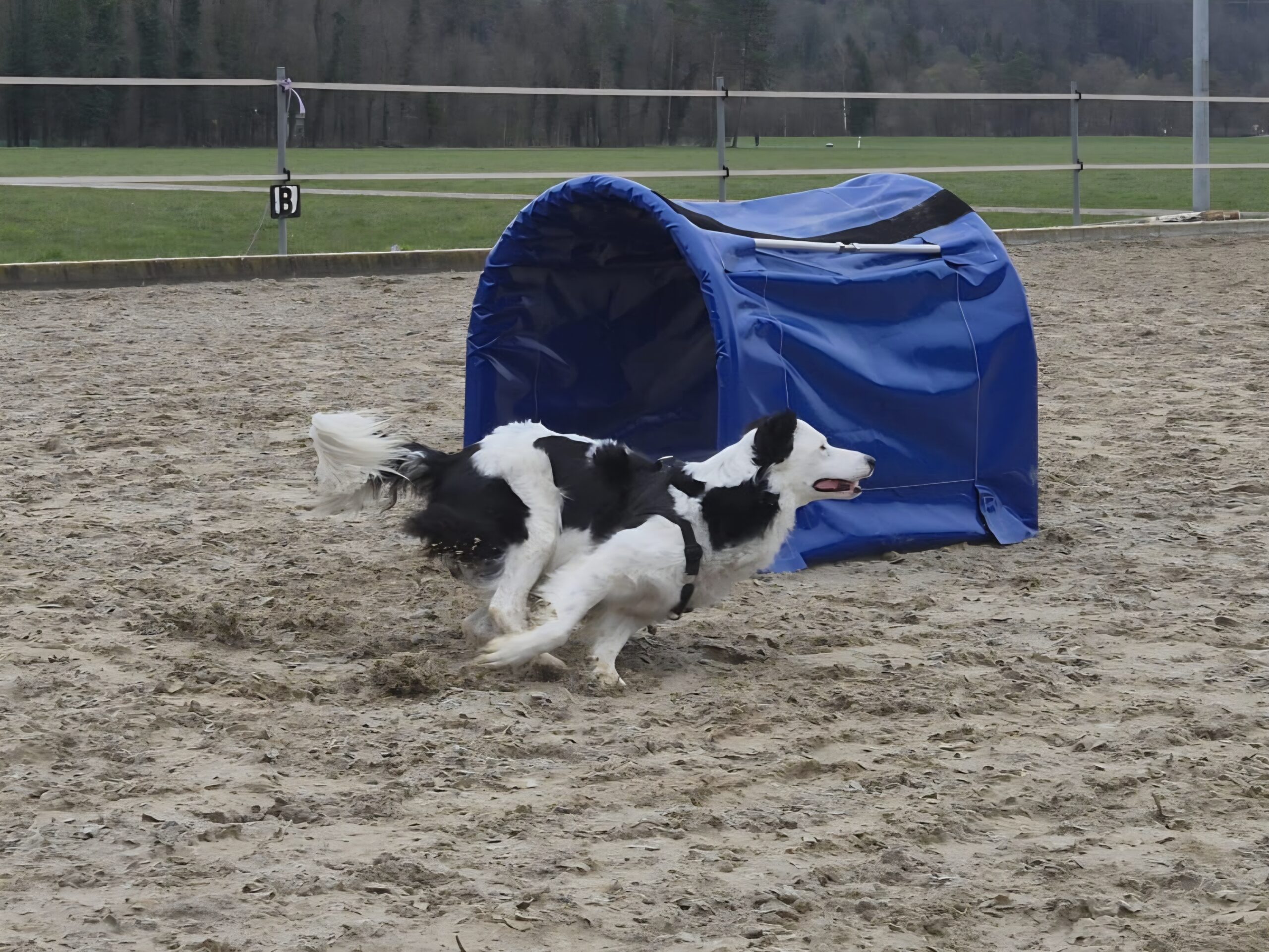 IMG-20260401-WA0031